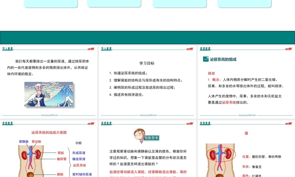 第五章 人体内废物的排出.ppt