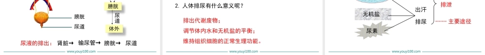 第五章 人体内废物的排出.ppt