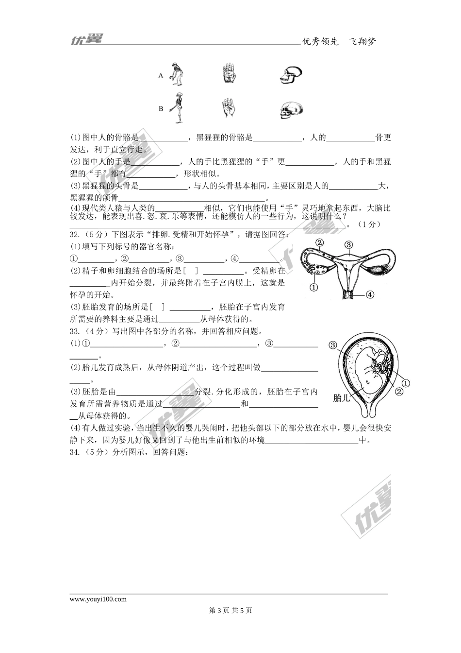 第一章人的由来单元检测题（3）.doc_第3页