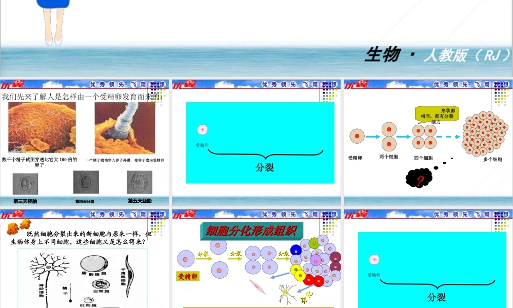 第二节 动物体的结构层次 (2).ppt