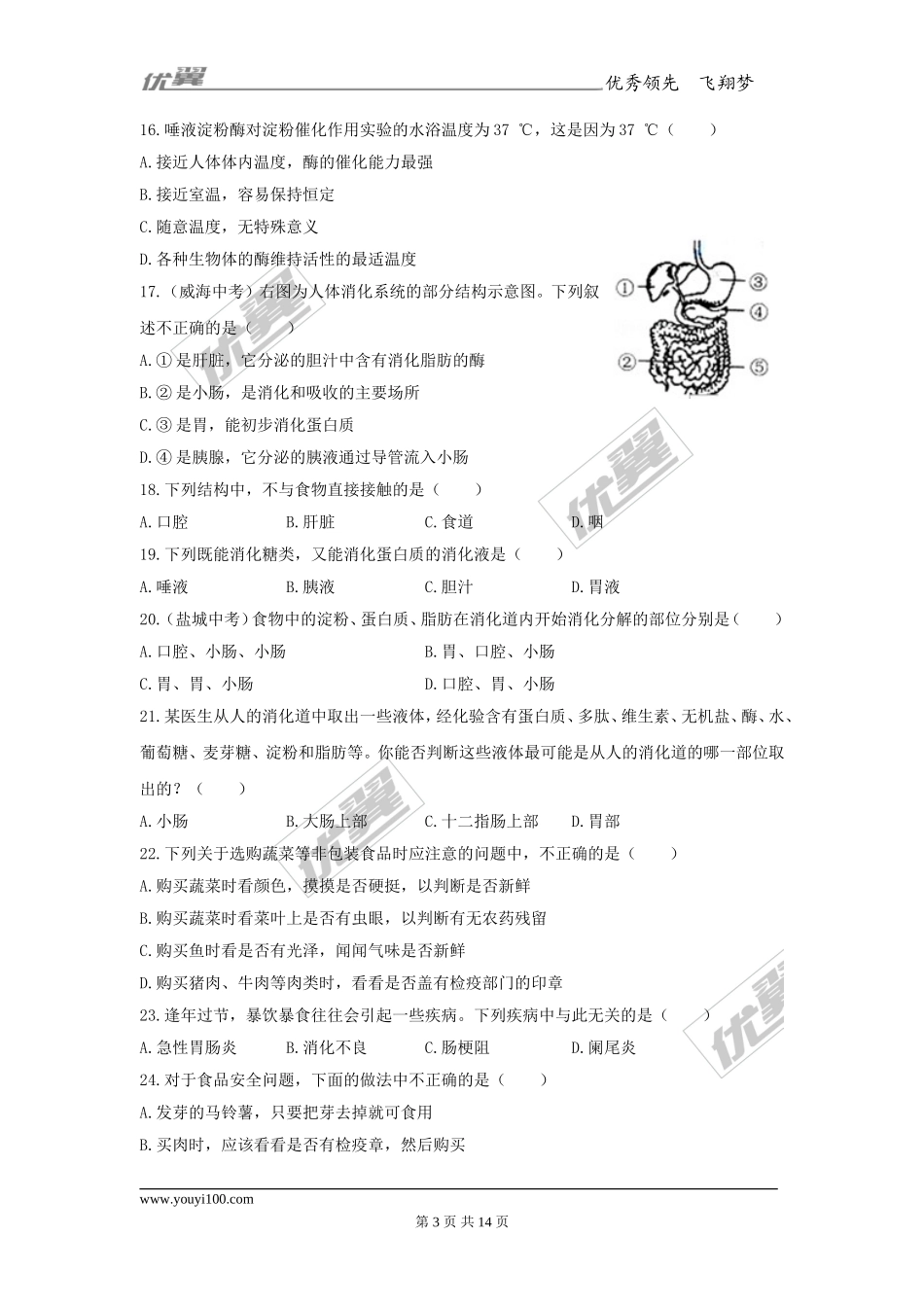 第二章人体的营养检测试卷（3）.doc_第3页