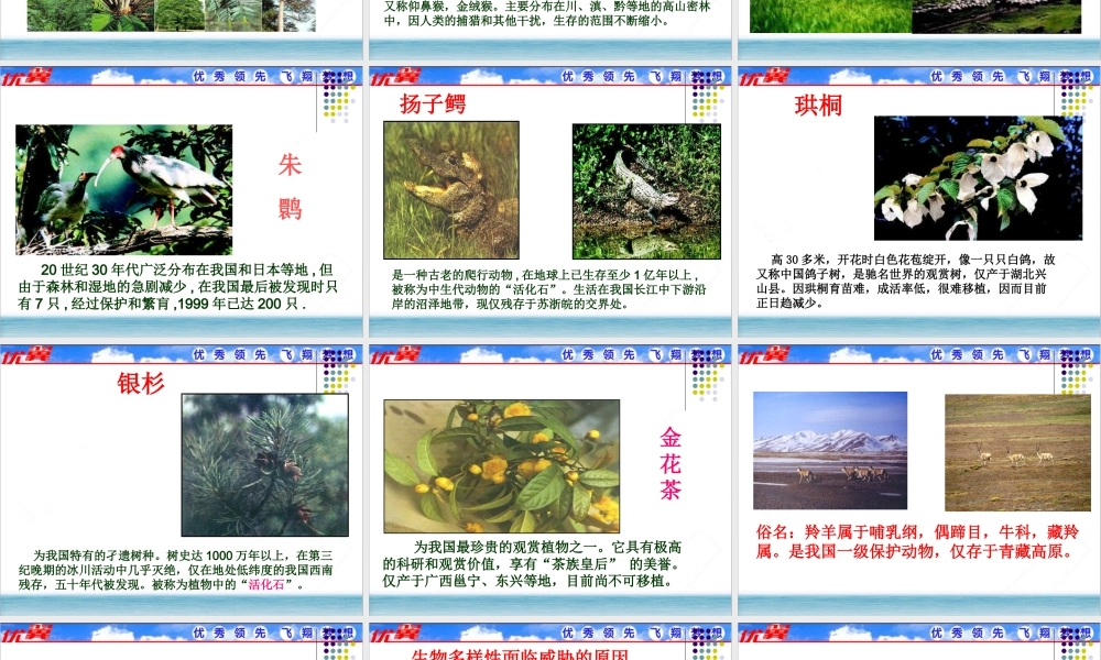 第三章保护生物的多样性.ppt