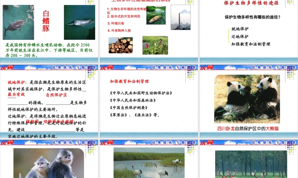 第三章保护生物的多样性.ppt