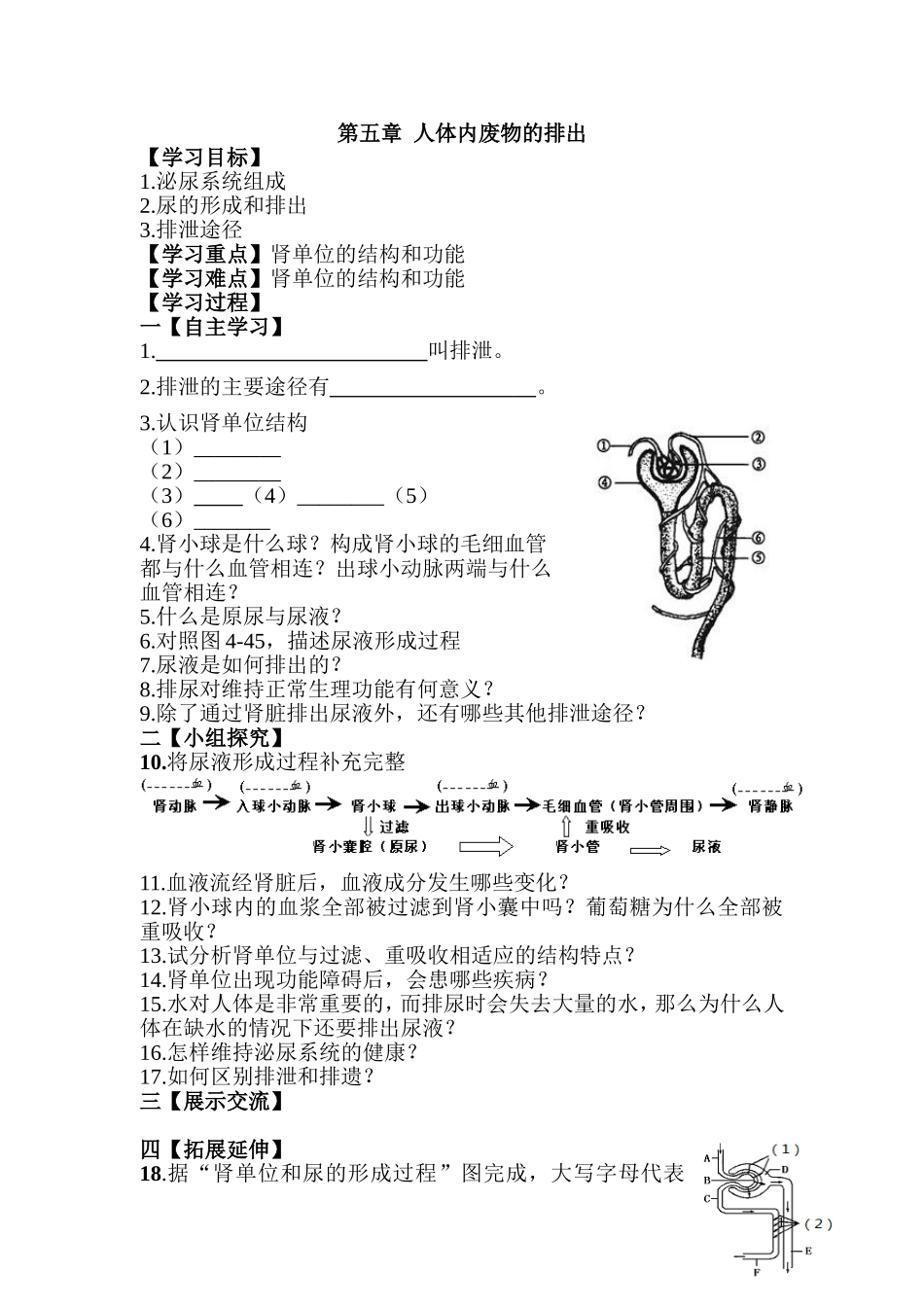 第五章人体内废物的排出.doc_第1页