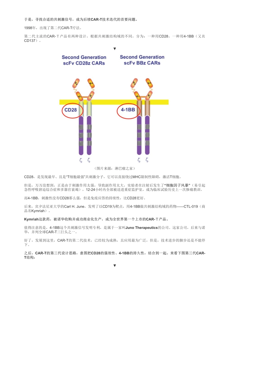 港股-生物制药：金斯瑞生物科技火爆的CAR-T概念——优塾指数✩✩.pdf_第3页