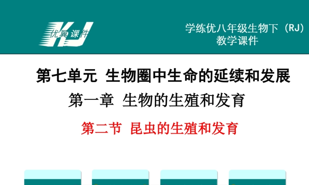 第二节 昆虫的生殖和发育.ppt