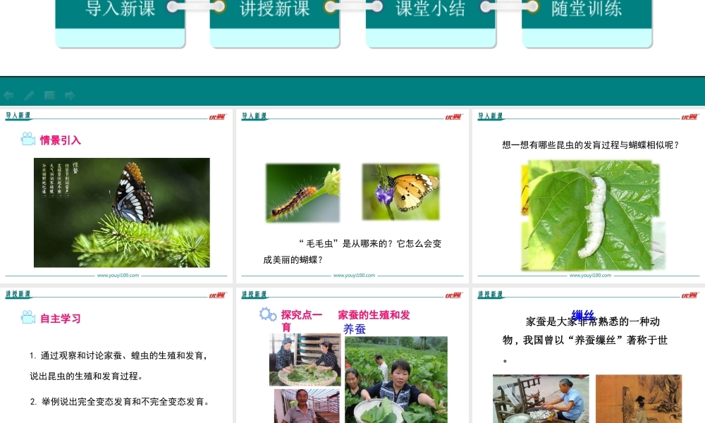 第二节 昆虫的生殖和发育.ppt