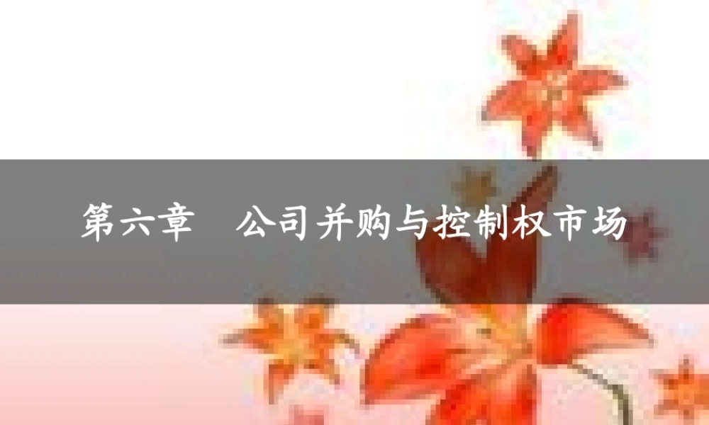 第六章 公司并购与控制权市场.ppt