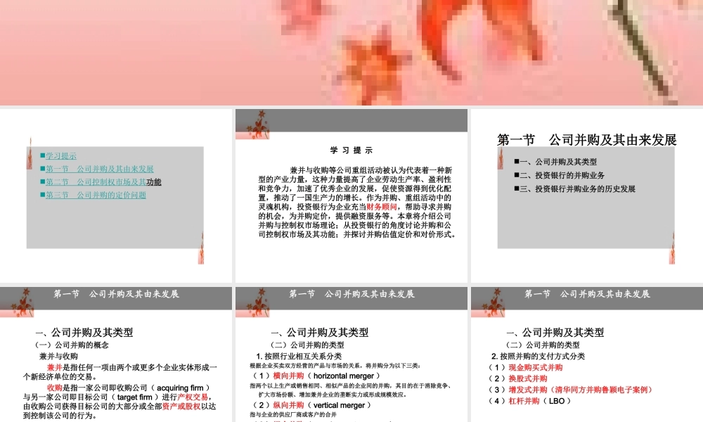 第六章 公司并购与控制权市场.ppt