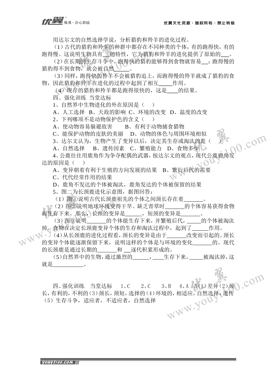 第三节生物进化的原因(1).doc_第2页