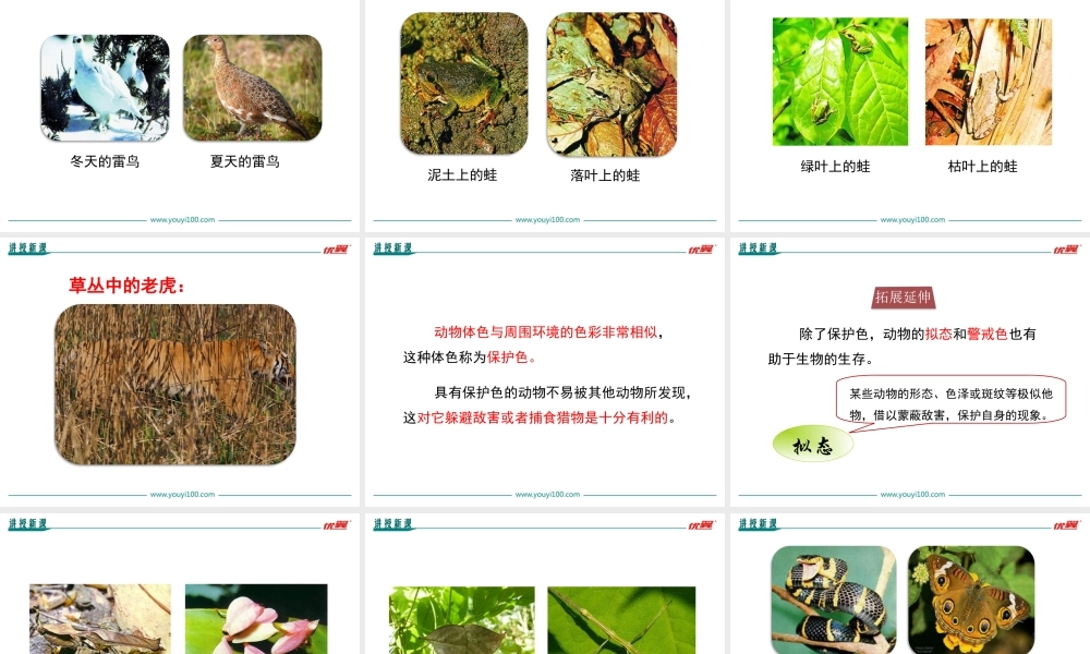 第三节 生物进化的原因.ppt