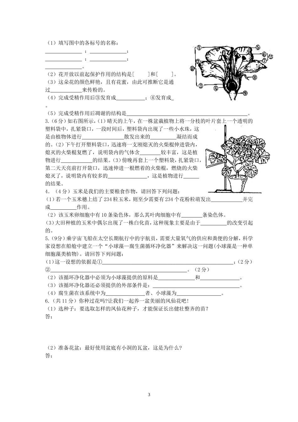 期末试题6 无答案.doc_第3页