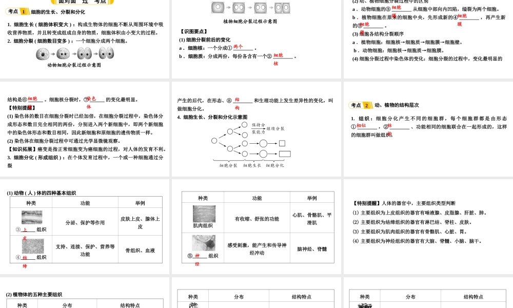 第2讲细胞怎样构成生物体.ppt