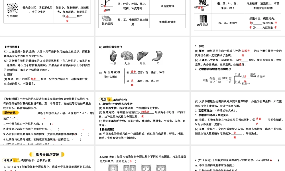 第2讲细胞怎样构成生物体.ppt