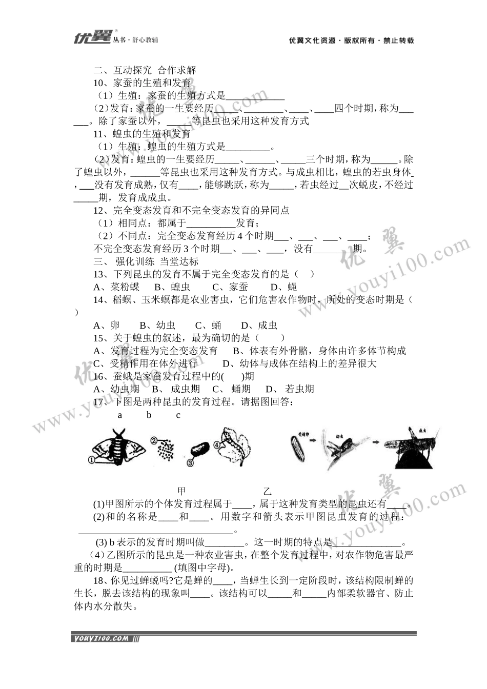 第二节昆虫的生殖和发育(1).doc_第2页