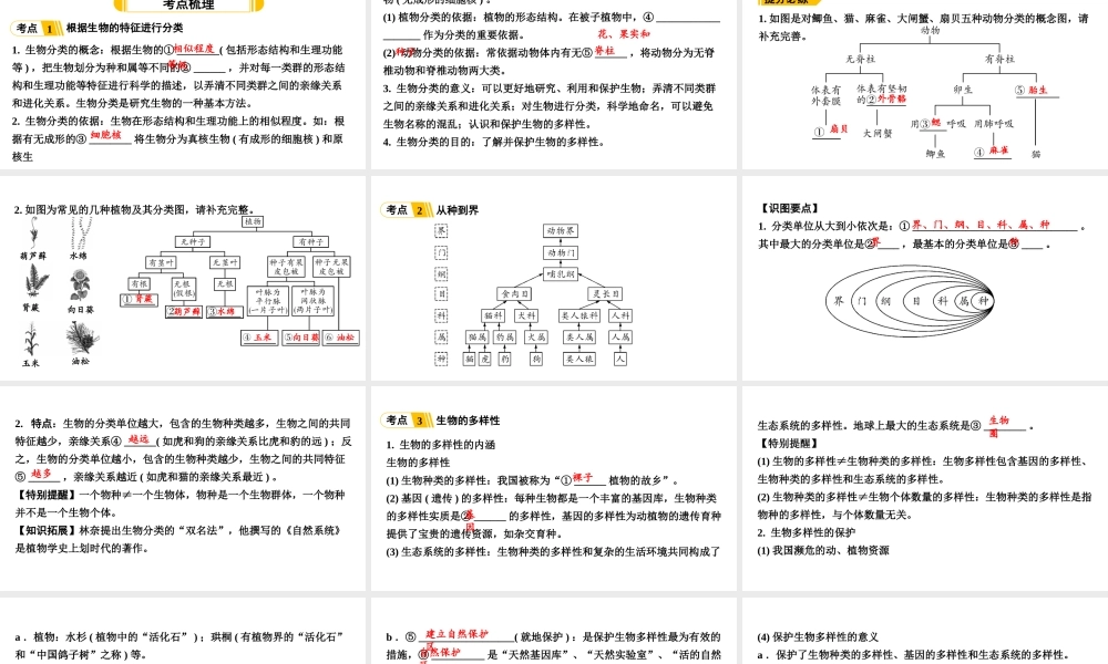 第六单元生物的多样性及其保护.ppt