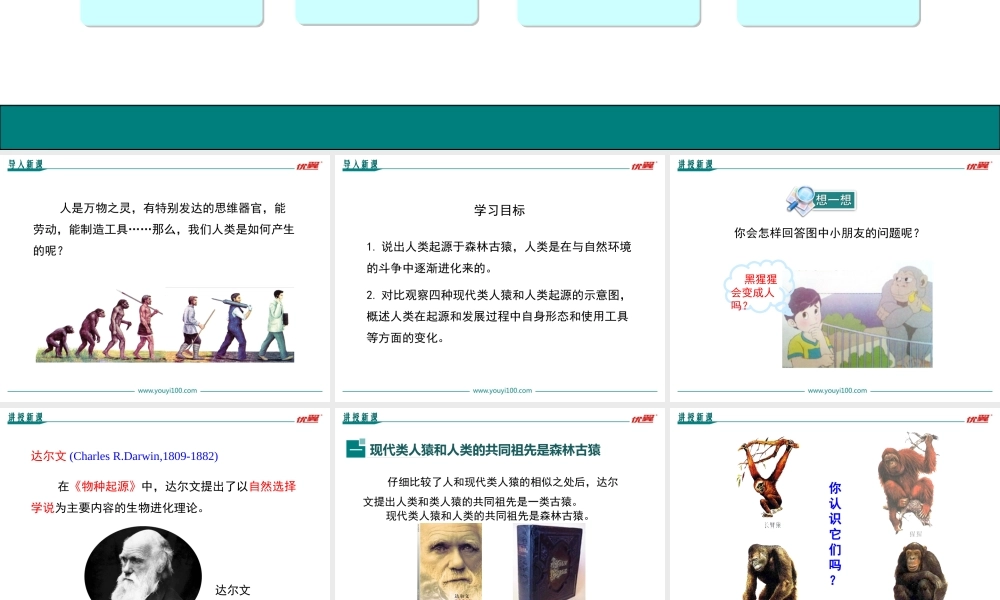 第一节人类的起源和发展.ppt