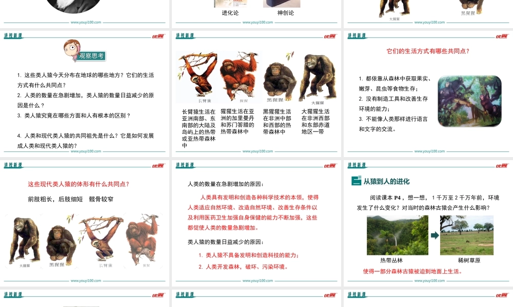 第一节人类的起源和发展.ppt