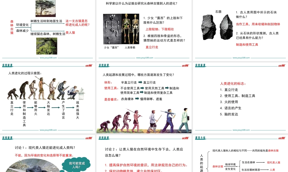 第一节人类的起源和发展.ppt