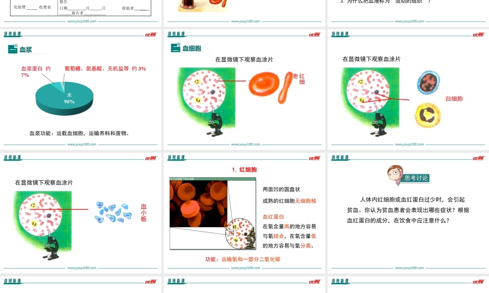 第一节 流动的组织——血液.ppt