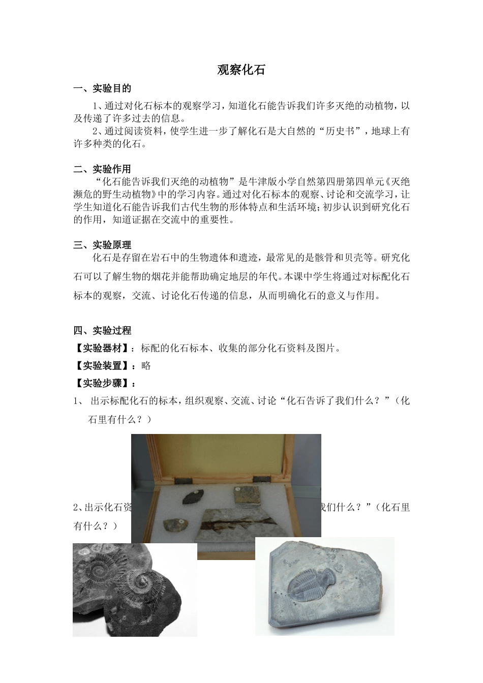 观察化石（407）.doc_第1页