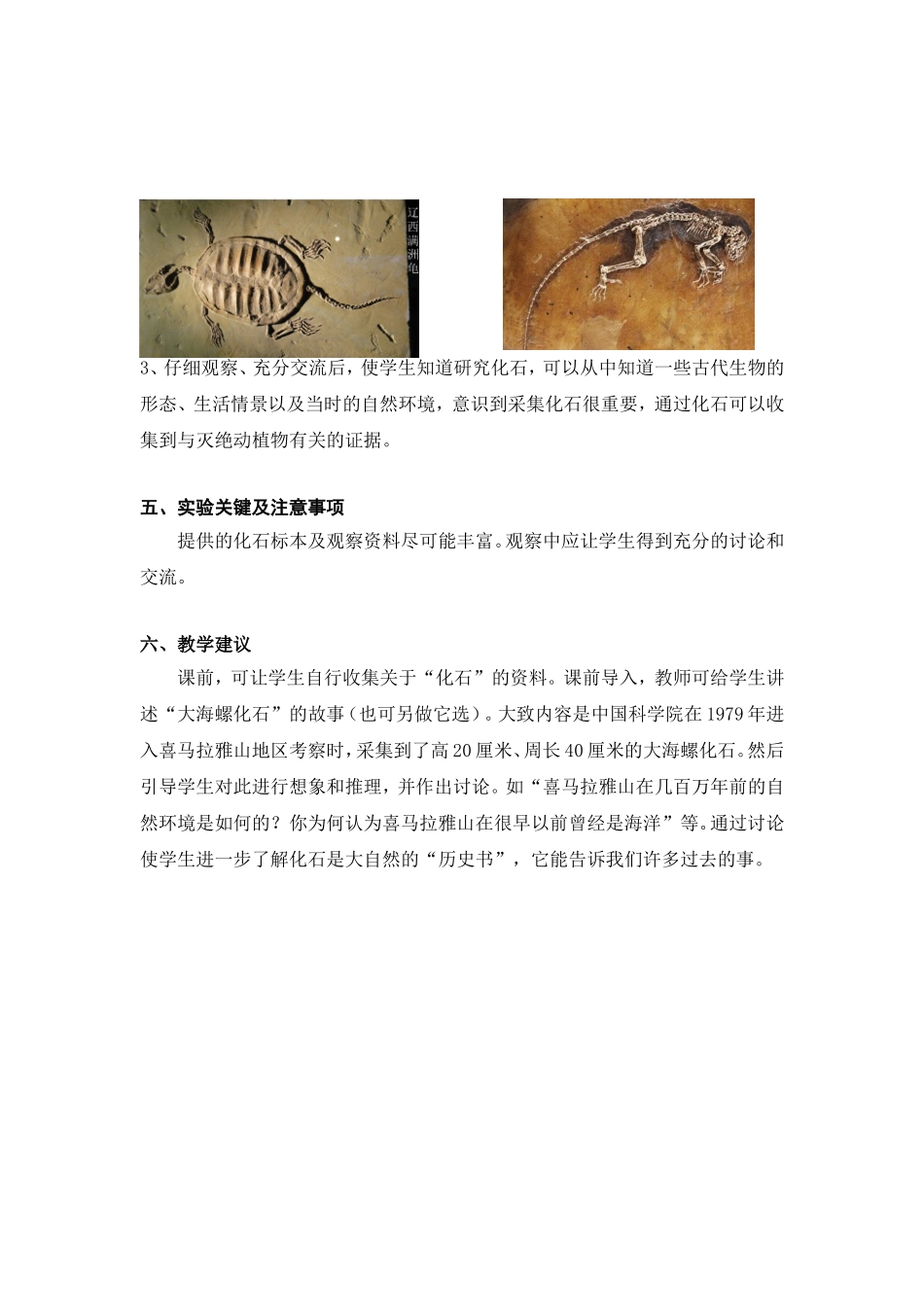 观察化石（407）.doc_第2页