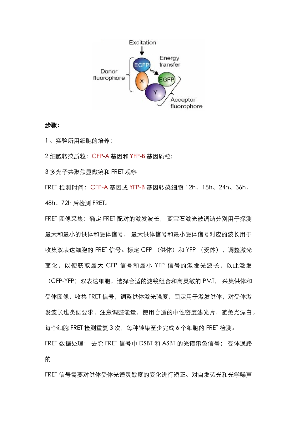 蛋白检测篇9-FRET(1).docx_第3页