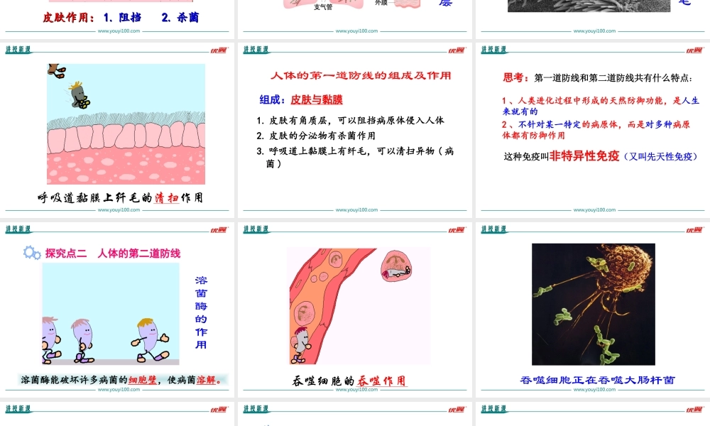 第1课时 人体的三道防线.ppt