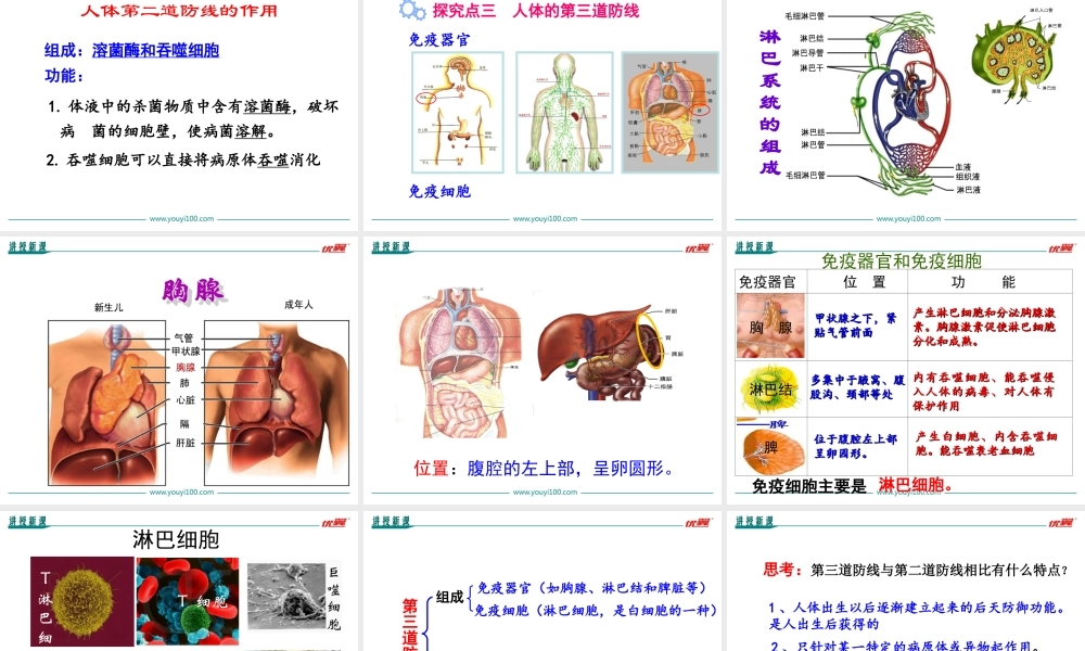 第1课时 人体的三道防线.ppt