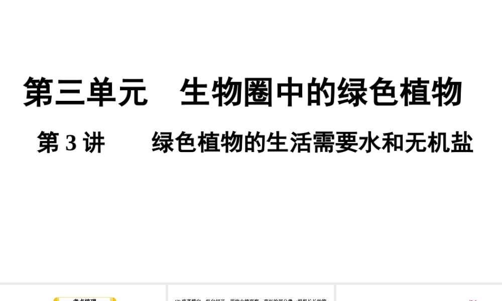 第3讲绿色植物的生活需要水和无机盐.ppt
