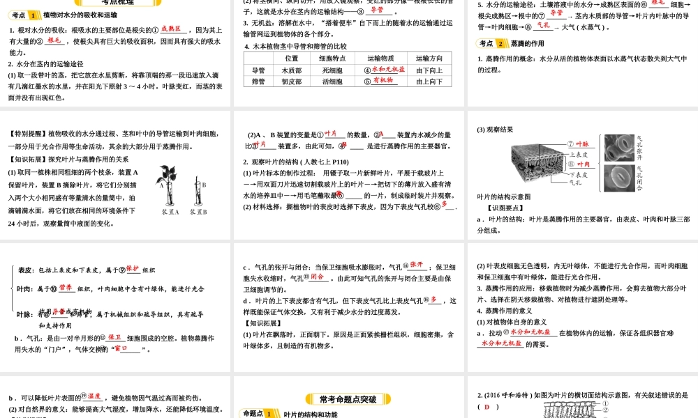 第3讲绿色植物的生活需要水和无机盐.ppt