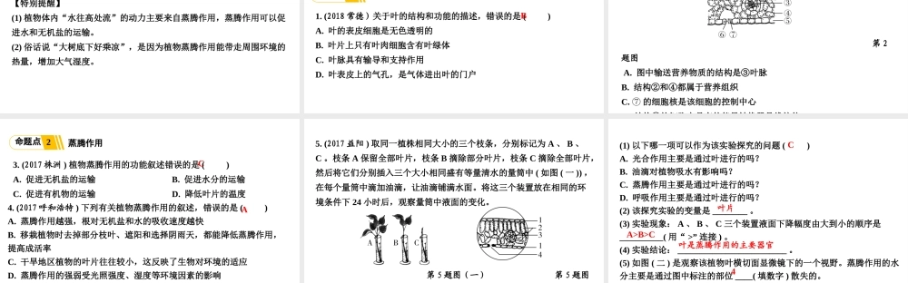 第3讲绿色植物的生活需要水和无机盐.ppt