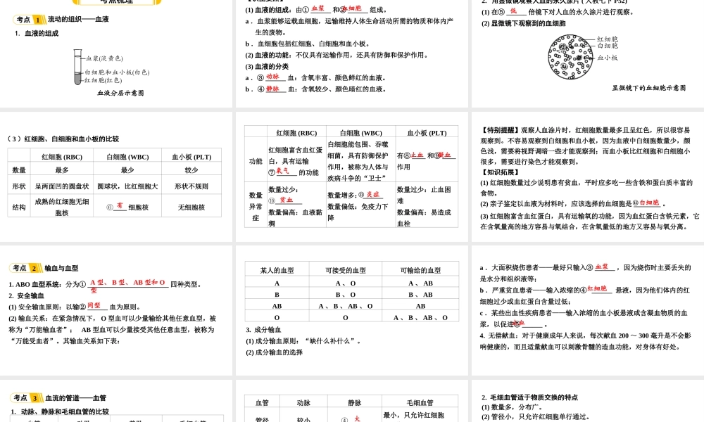 第4讲血液、血管、输血和血型.ppt