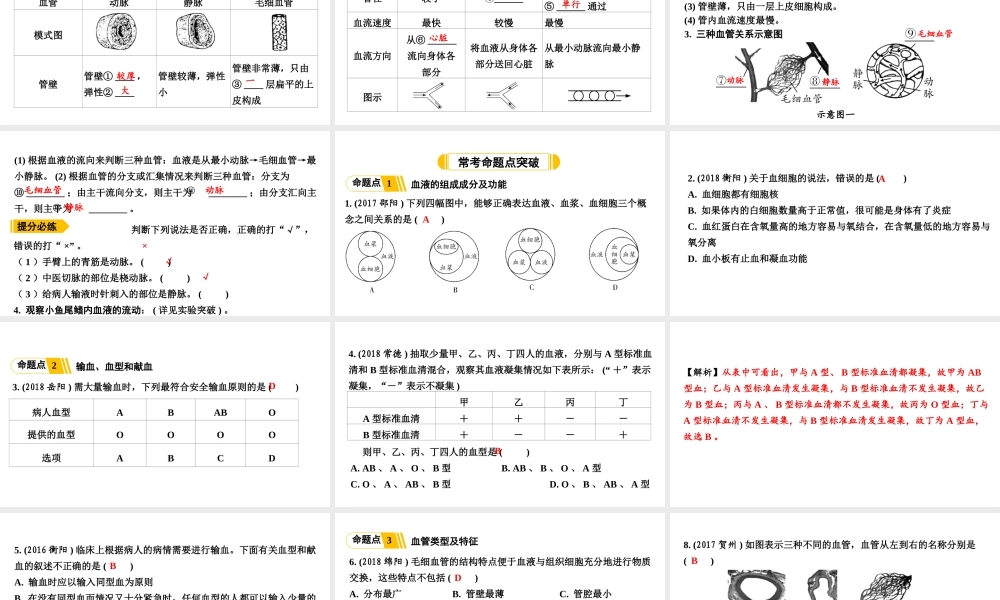 第4讲血液、血管、输血和血型.ppt