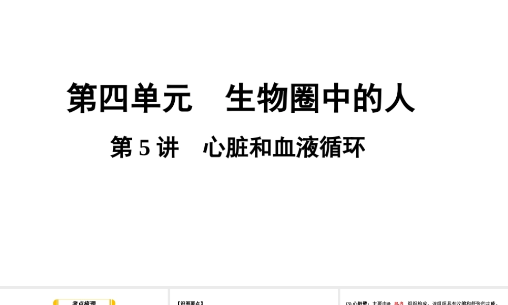 第5讲心脏和血液循环.ppt