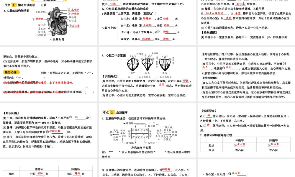 第5讲心脏和血液循环.ppt