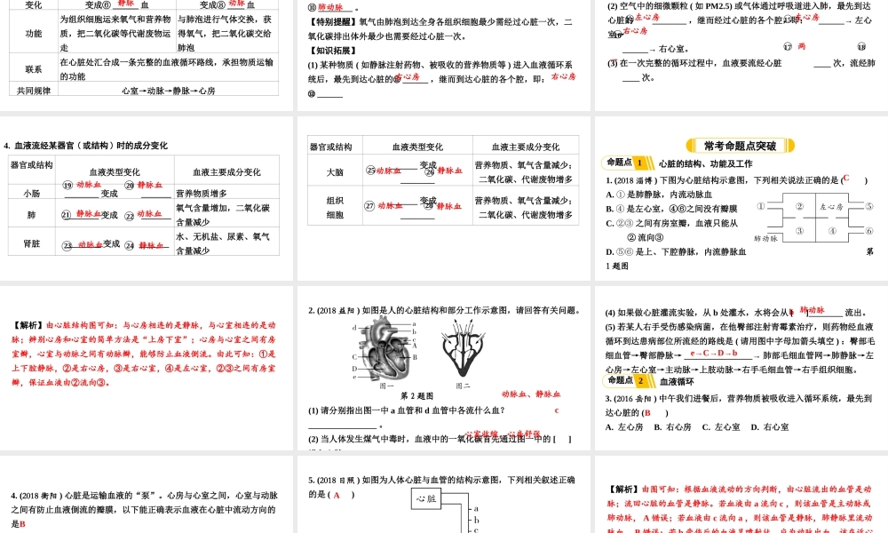 第5讲心脏和血液循环.ppt