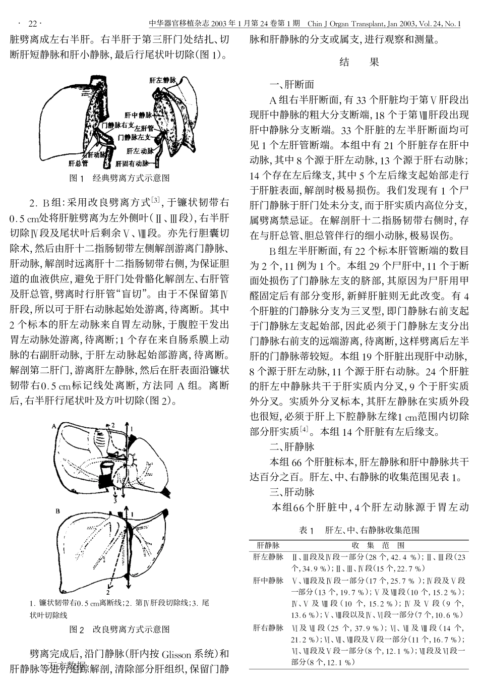 人肝脏劈离的解剖实验研究.pdf_第2页