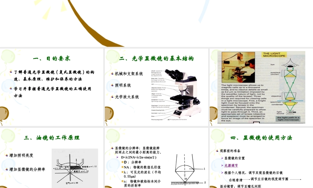 实验二显微镜的使用放线菌以及酵母菌的观察.ppt