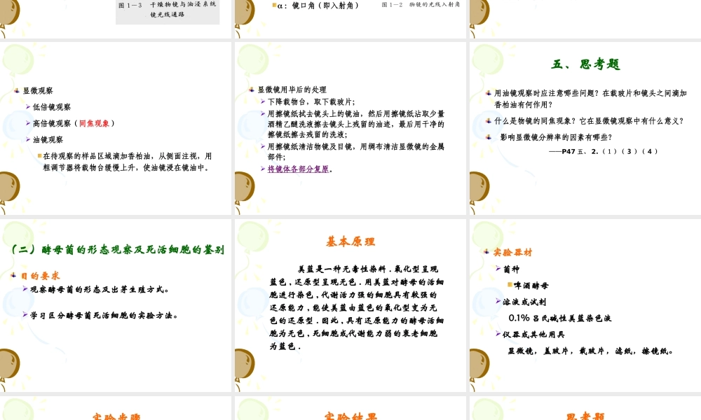 实验二显微镜的使用放线菌以及酵母菌的观察.ppt