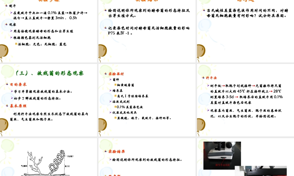 实验二显微镜的使用放线菌以及酵母菌的观察.ppt