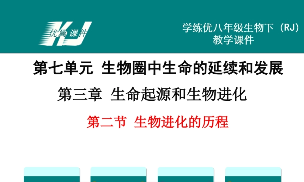 第二节 生物进化的历程.ppt