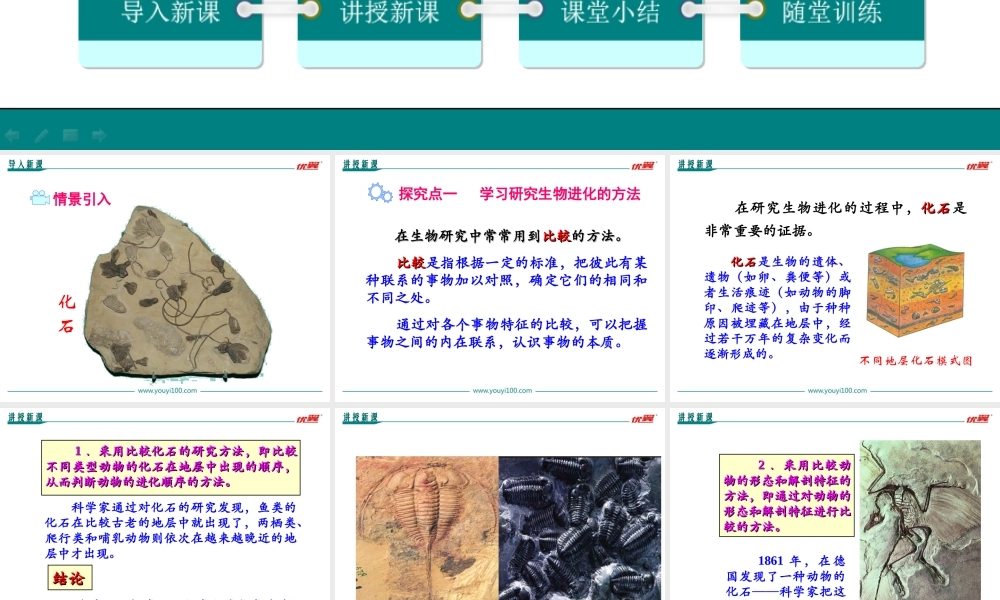 第二节 生物进化的历程.ppt