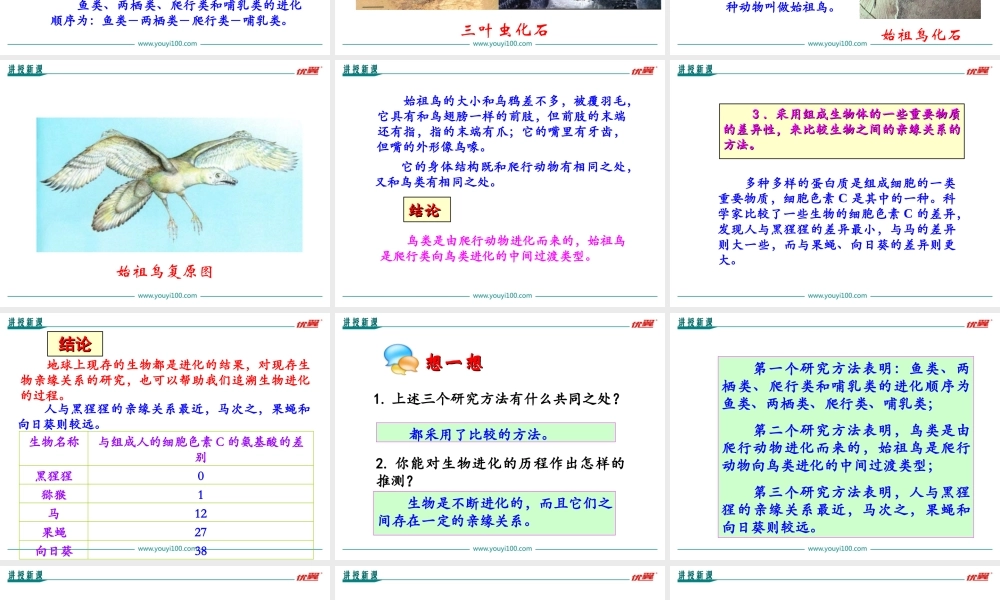 第二节 生物进化的历程.ppt