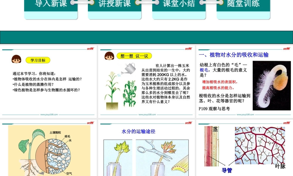 第三章绿色植物与生物圈的水循环.ppt