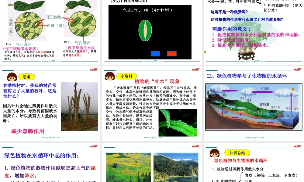 第三章绿色植物与生物圈的水循环.ppt