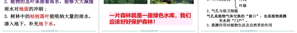 第三章绿色植物与生物圈的水循环.ppt
