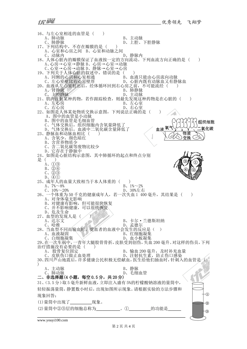第四章人体内物质的运输检测卷（1）.doc_第2页