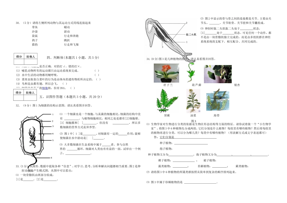期末测试题11.doc_第2页
