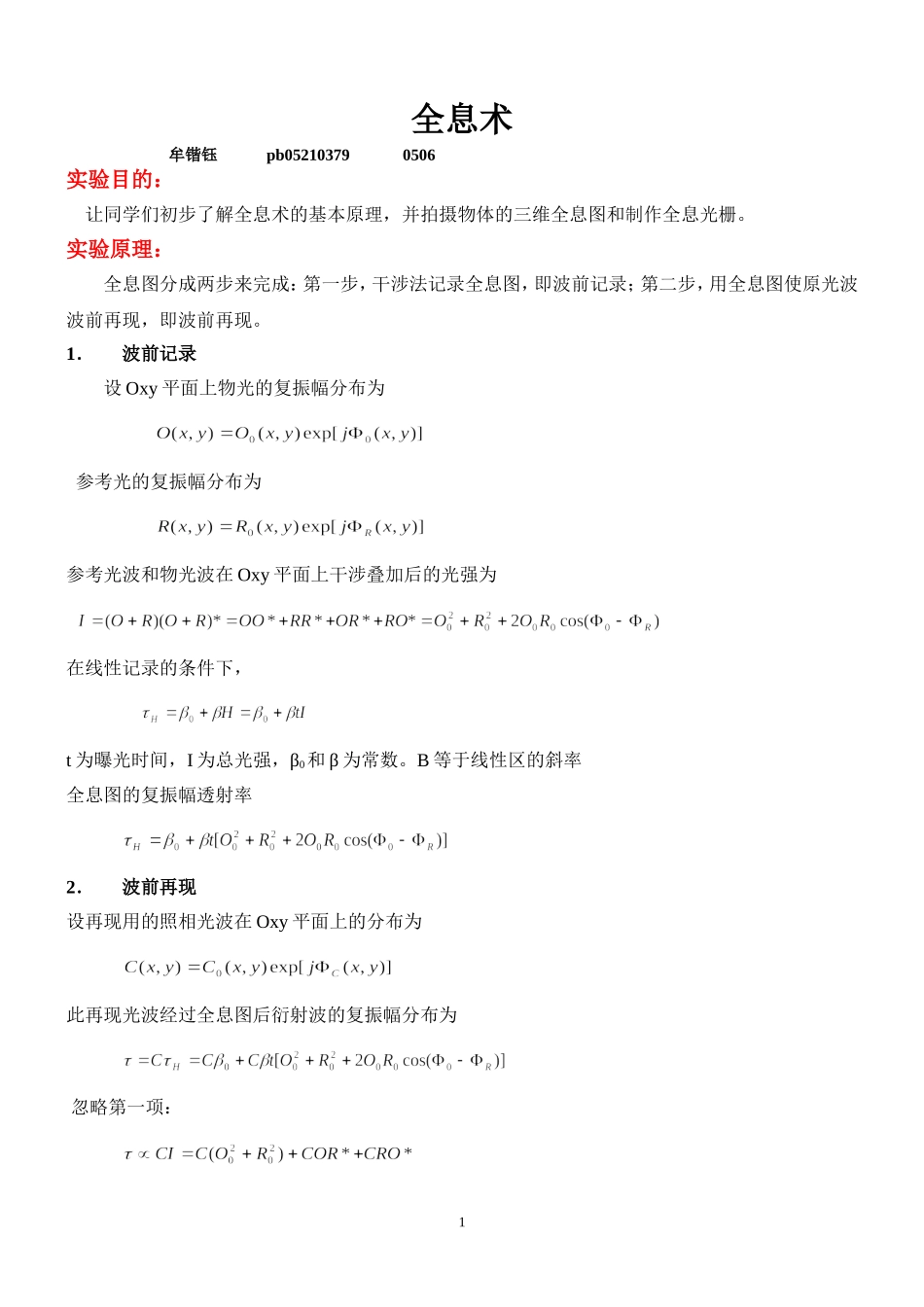 全息术（牟锴钰）(1).doc_第1页